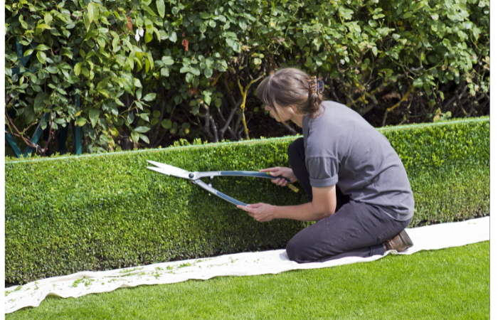 Landscaping